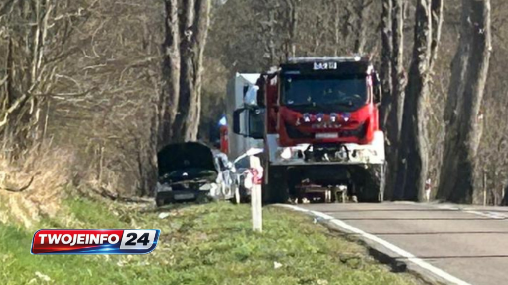 Auto uderzyło w drzewo