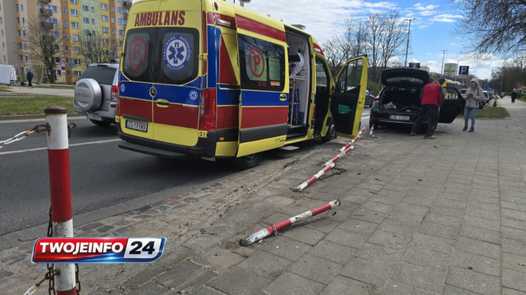 Uszkodziła barierki łańcuchowe i znak. Ukarana mandatem