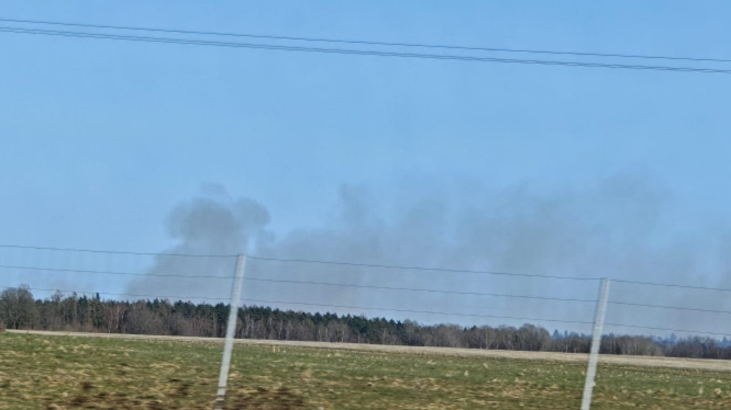 Pożar lasu i ugoru. Ogień objął łącznie 6 hektarów terenu