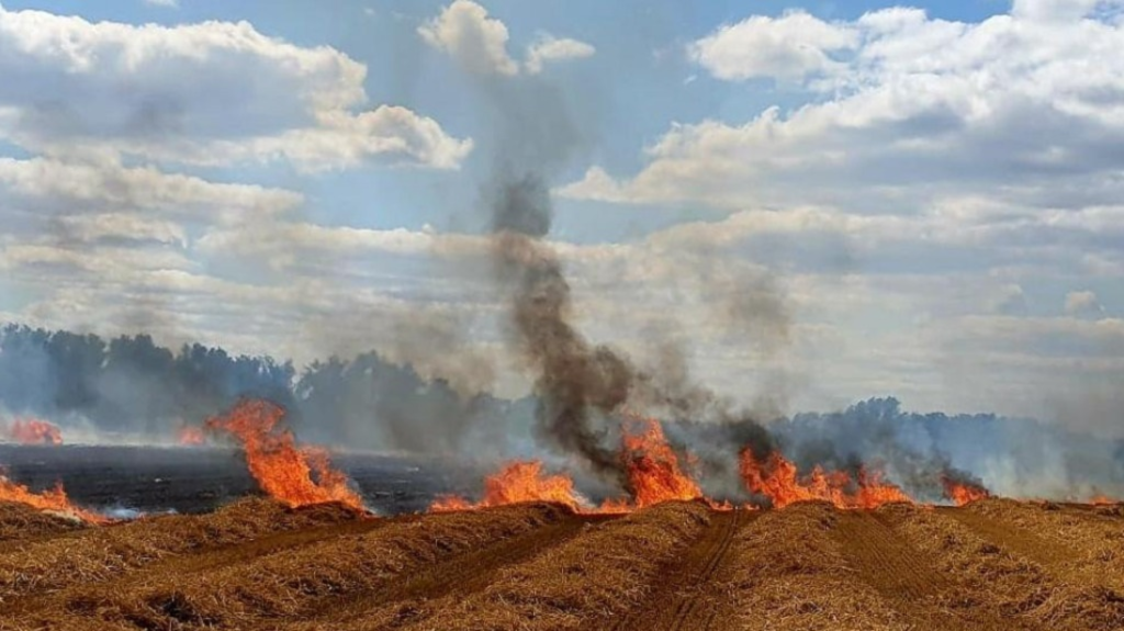 Pożar lasu pod Reskiem