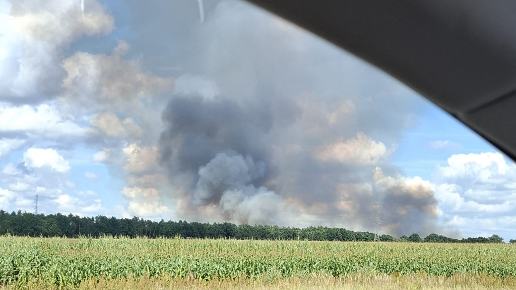 Duży pożar zboża na pniu w powiecie stargardzkim