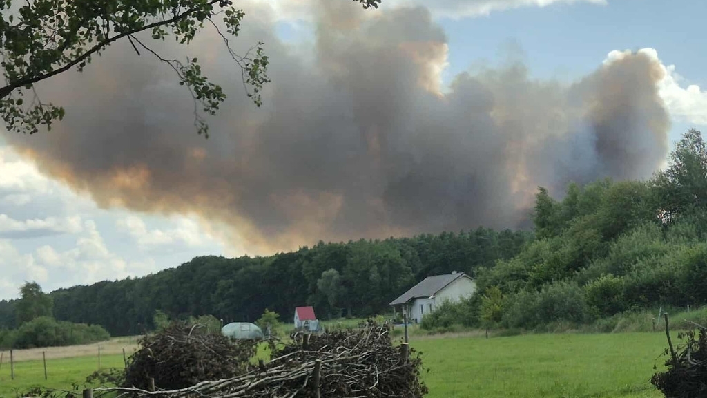 Duży pożar zboża na pniu w powiecie stargardzkim