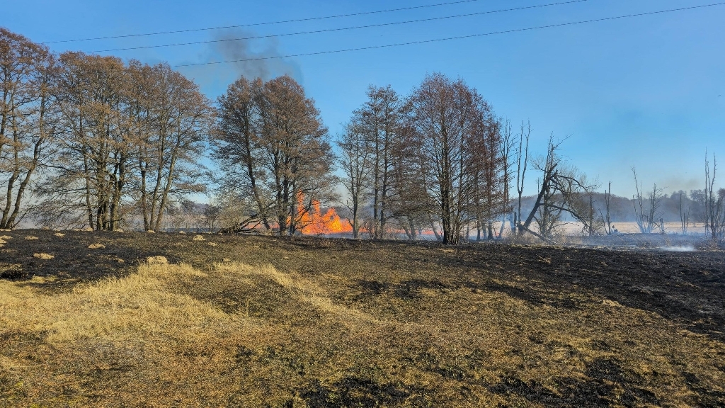 Pożar traw i nieużytków w gminie Węgorzyno. Spłonęło około 5 hektarów