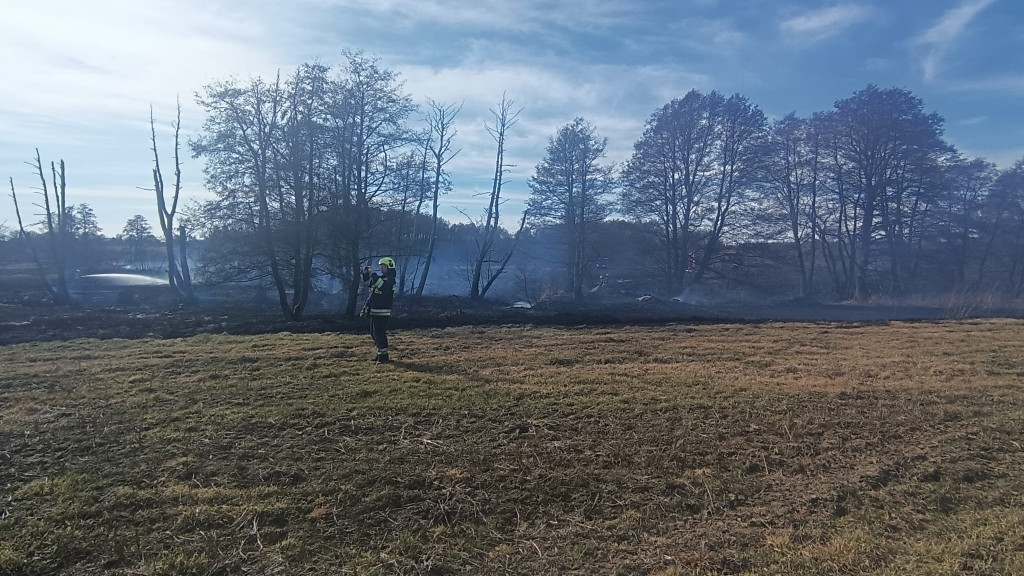 Pożar traw i nieużytków w gminie Węgorzyno. Spłonęło około 5 hektarów