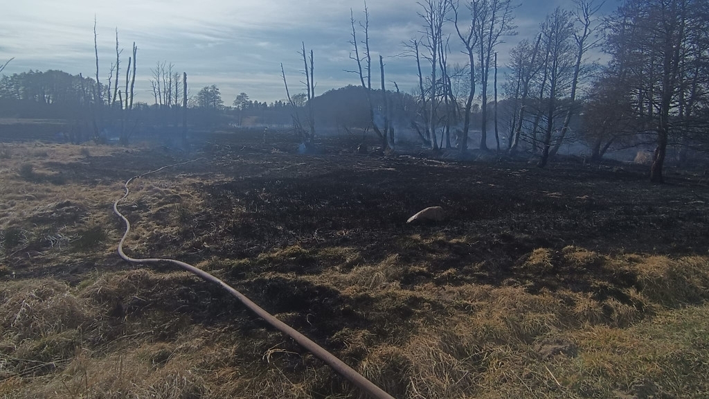 Pożar traw i nieużytków w gminie Węgorzyno. Spłonęło około 5 hektarów