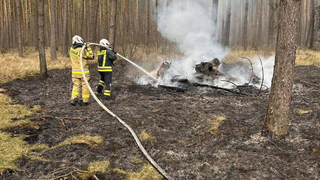 Pożar traw i lasu na ternie dwóch powiatów. Spłonęło kilkanaście hektarów