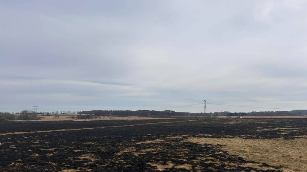 Pożar traw i lasu na ternie dwóch powiatów. Spłonęło kilkanaście hektarów
