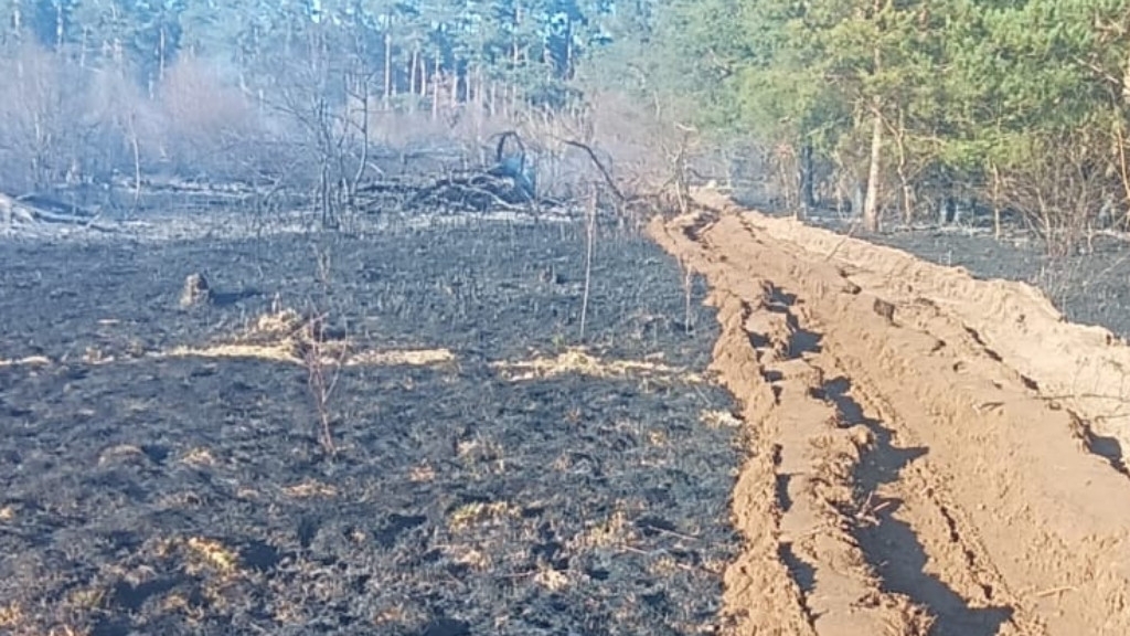 Pożar lasu i ugoru. Ogień objął łącznie 6 hektarów terenu