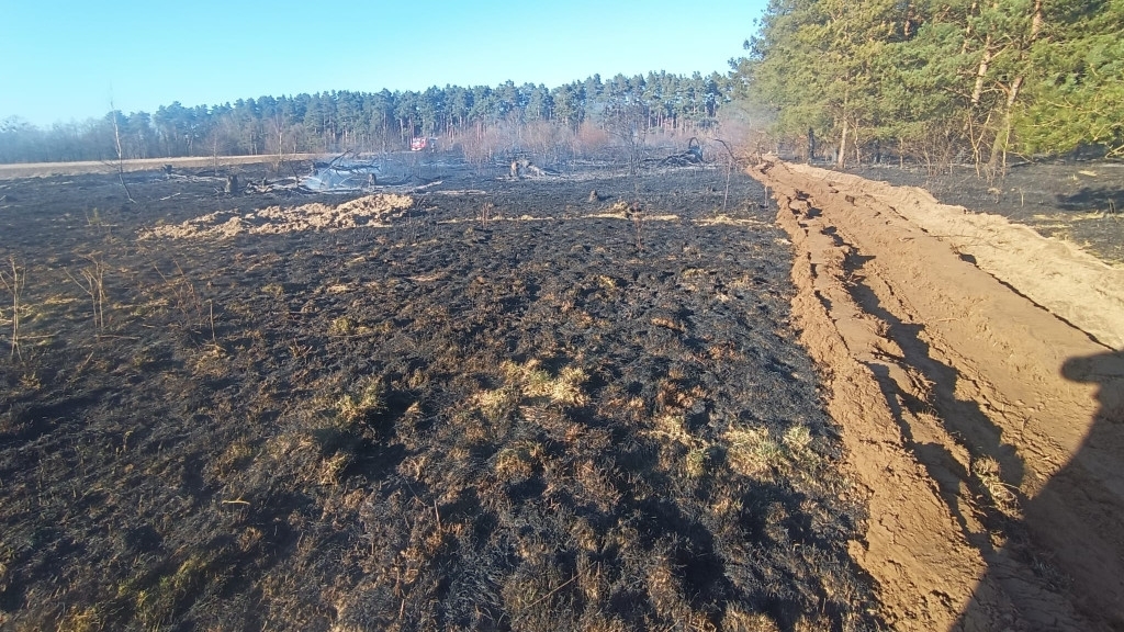 Pożar lasu i ugoru. Ogień objął łącznie 6 hektarów terenu